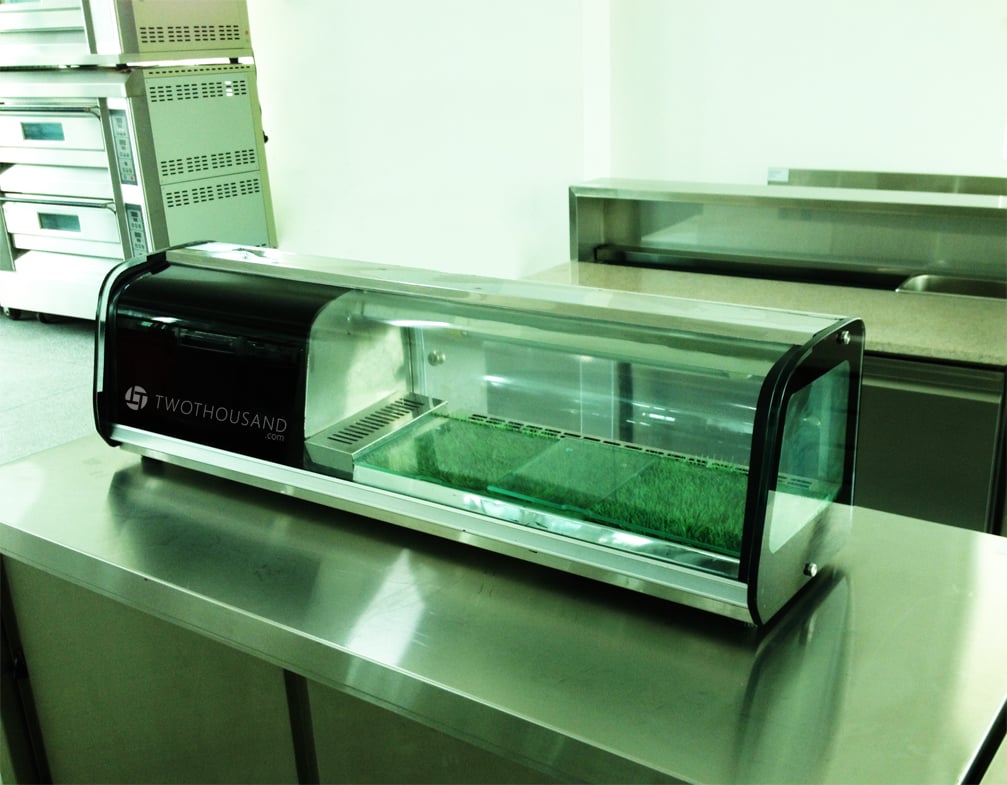 Refrigerated Sushi Cases