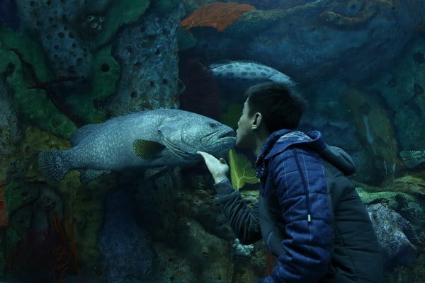 Alan is Kissing a Fish