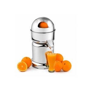 80-100Kg Per Hour 180W CE Commercial Orange Juicer TT-J29