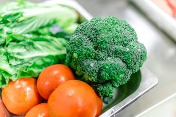 Commercial Restaurant Blast Chiller Freezer