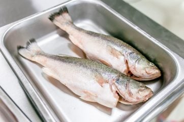 Commercial Restaurant Blast Chiller Freezer