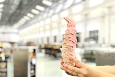 Soft Ice Cream Maker more details