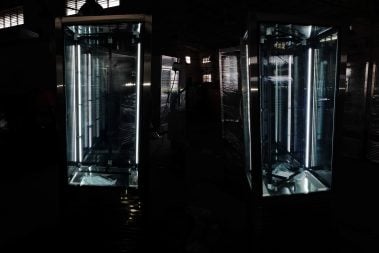 Cake Display Case TT-BC122A