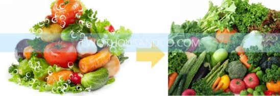 Vegetable Spin Dryer