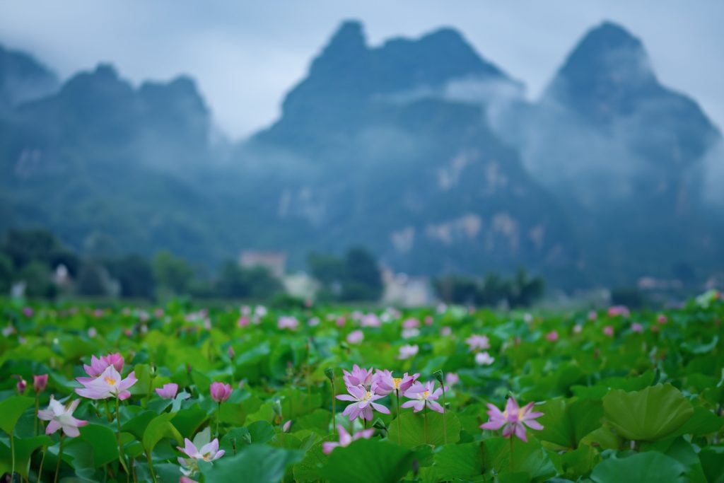 Sales Department Team Building: Spending more time in nature can help you work better